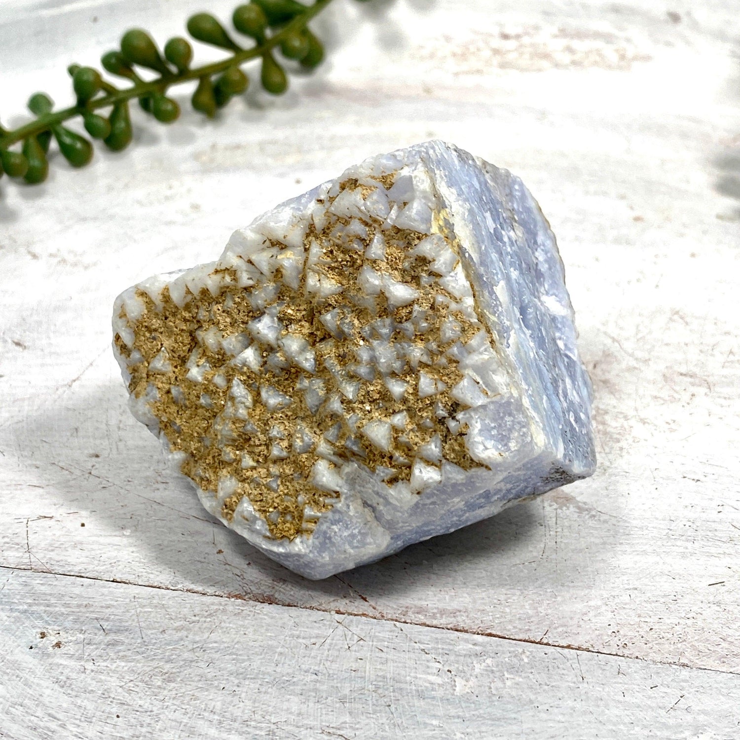 Blue Lace Agate Raw Crystal RB09 - Nature's Magick