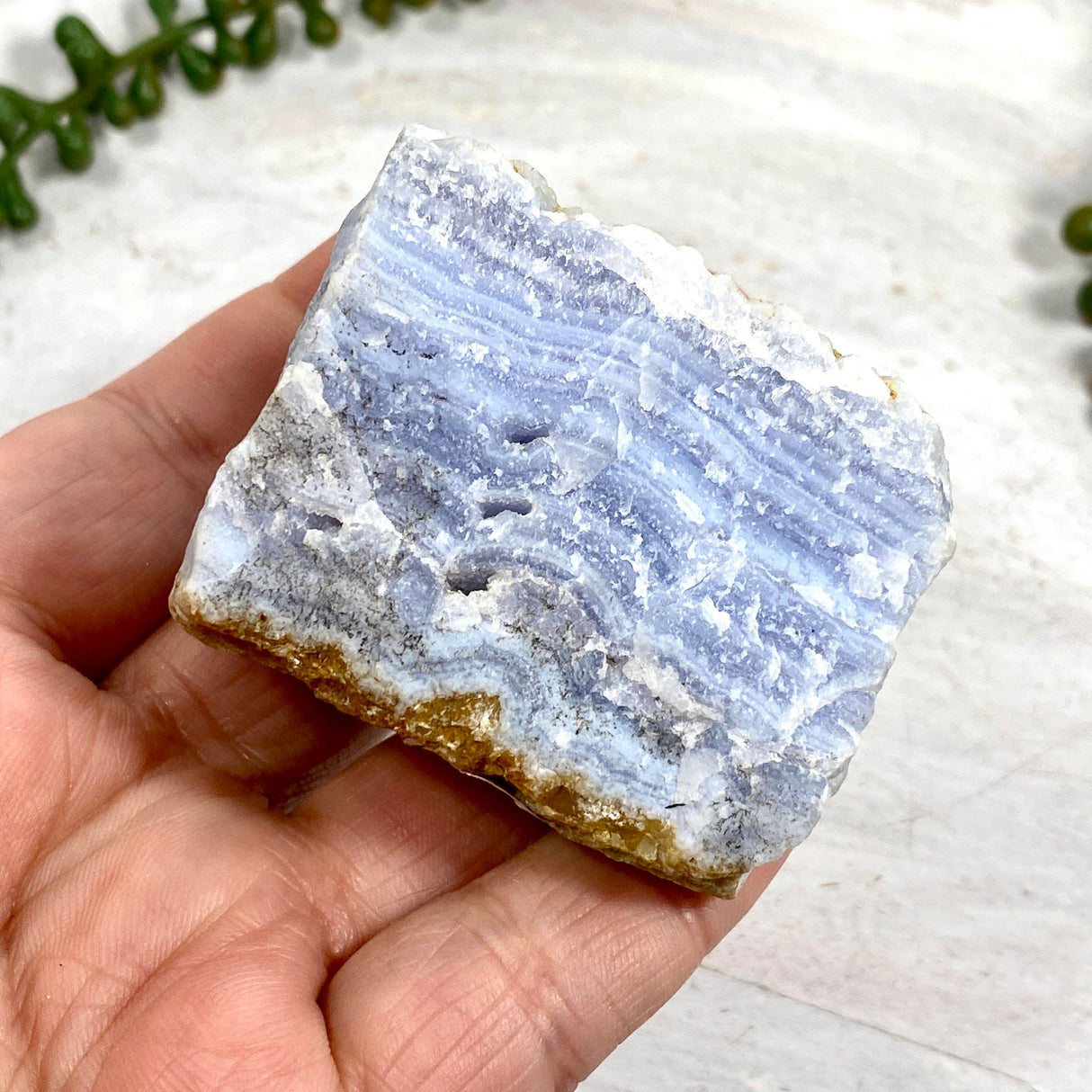 Blue Lace Agate Raw Crystal RB09 - Nature's Magick