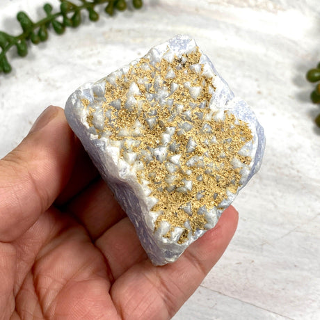 Blue Lace Agate Raw Crystal RB09 - Nature's Magick