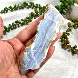 Blue Lace Agate Raw Crystal RB11 - Nature's Magick