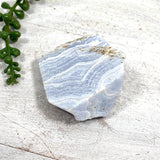 Blue Lace Agate Raw Crystal RB12 - Nature's Magick