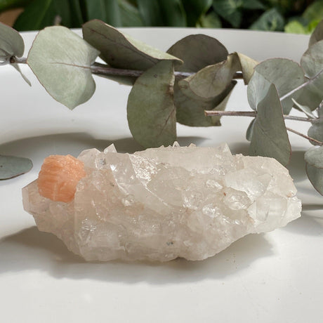 Clear Apophyllite A grade cluster APO-10 - Nature's Magick