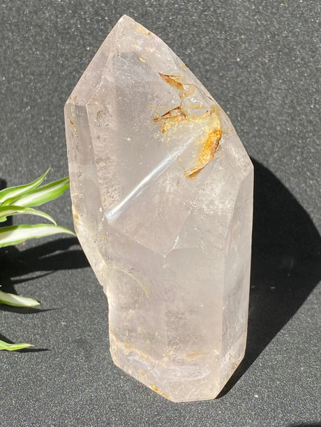 Clear Quartz Freeform Generator CR0976 - Nature's Magick