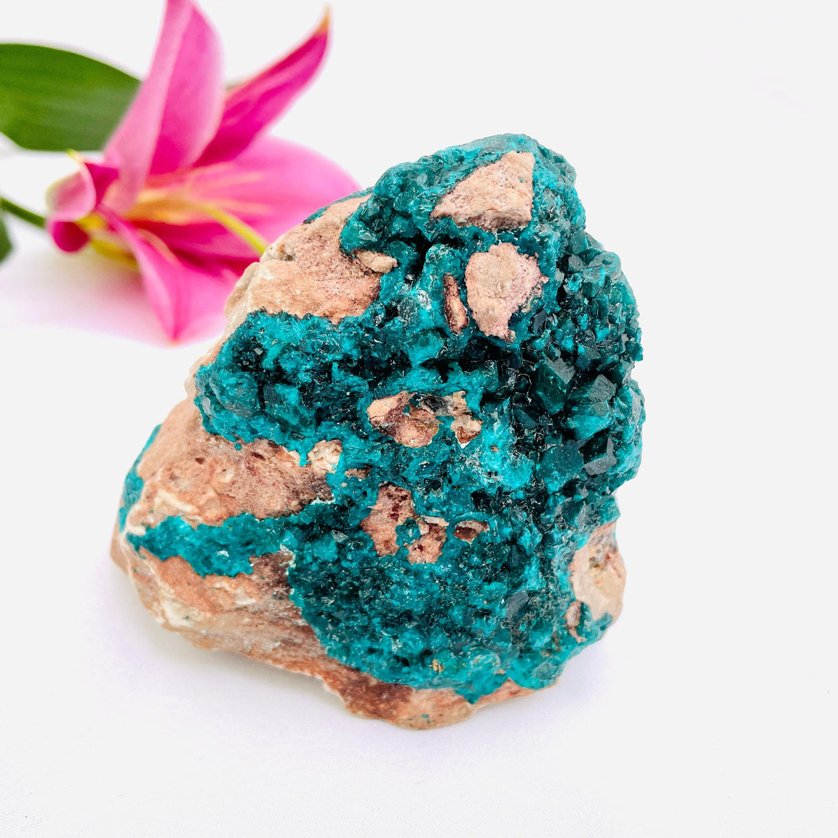 Dioptase specimen CR3187 - Nature's Magick