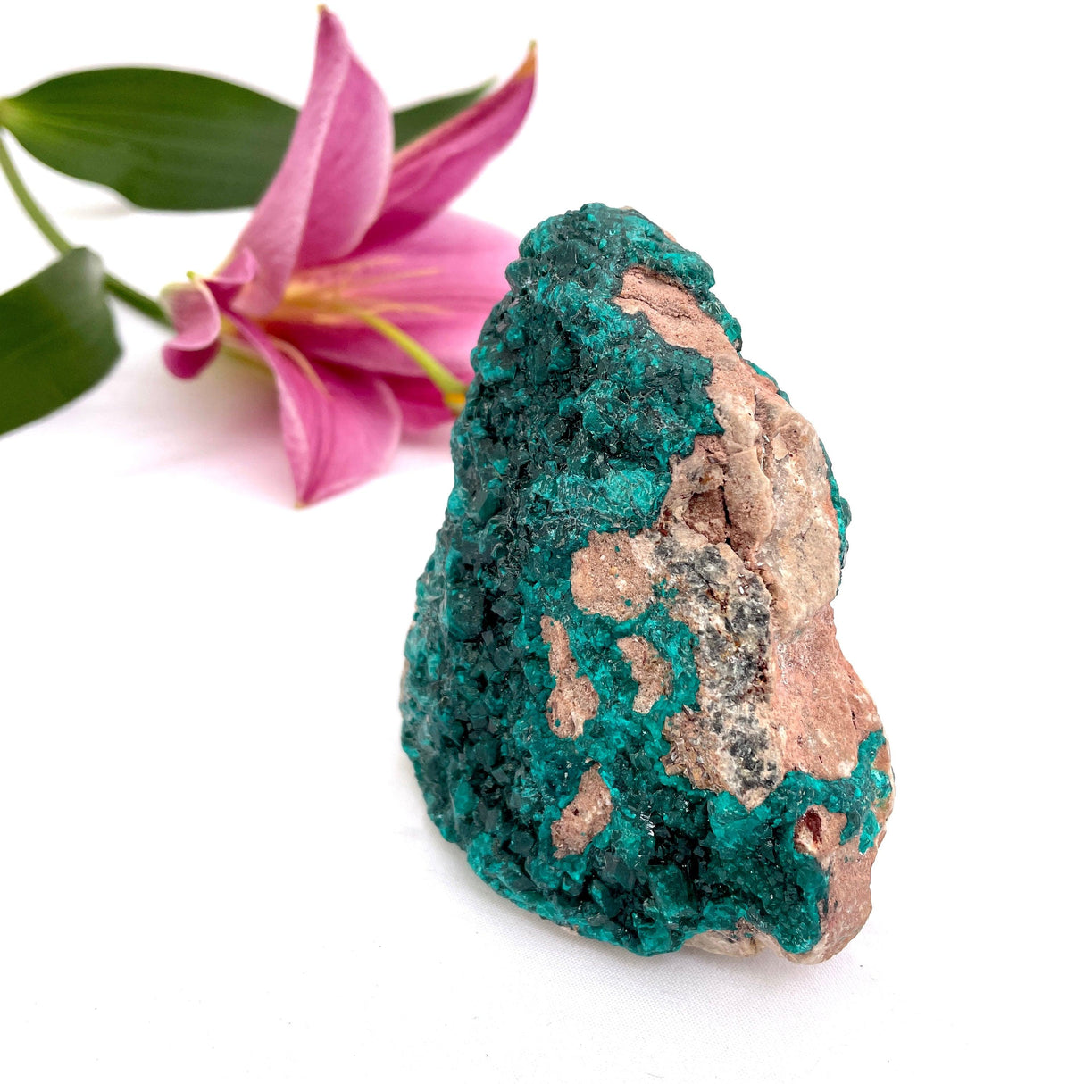 Dioptase specimen CR3187 - Nature's Magick