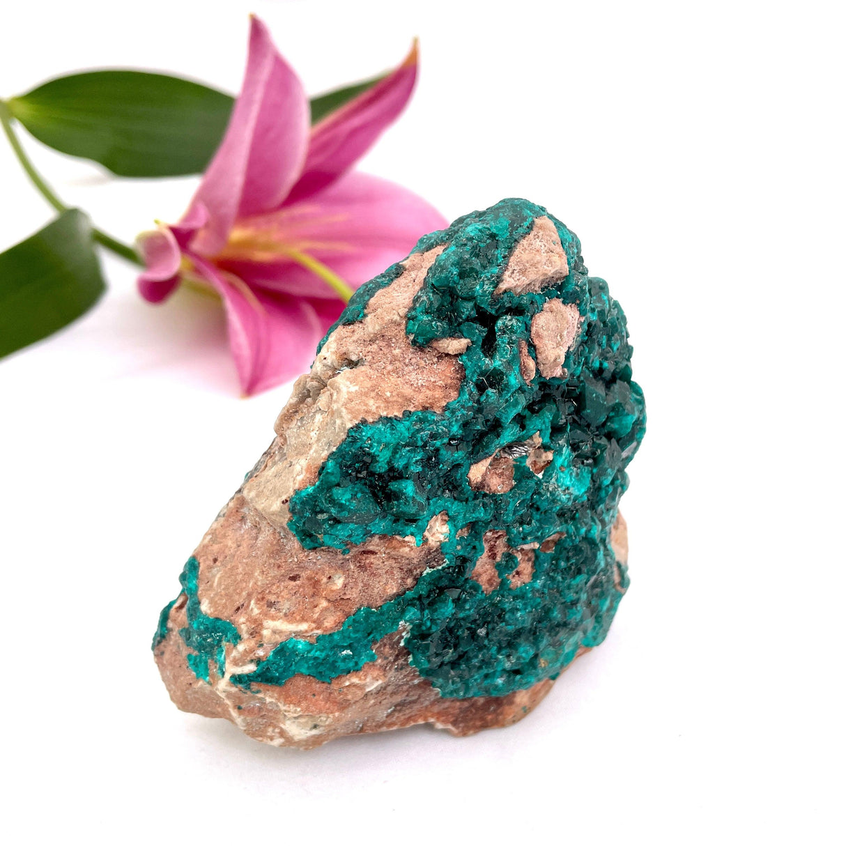 Dioptase specimen CR3187 - Nature's Magick