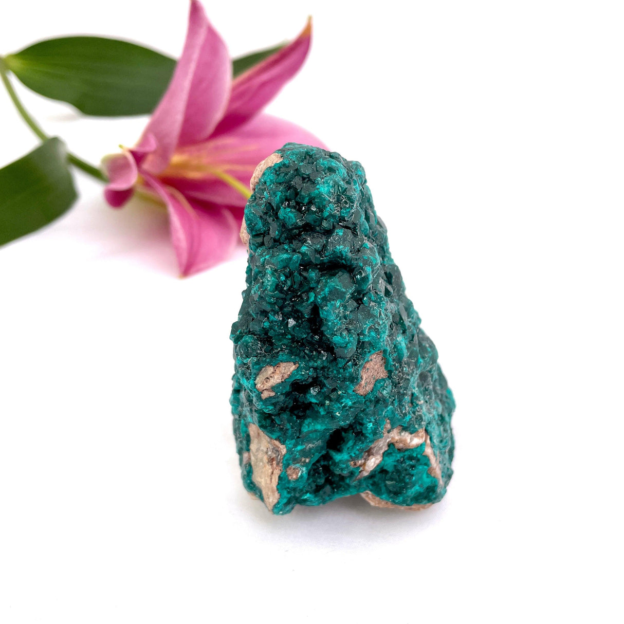 Dioptase specimen CR3187 - Nature's Magick