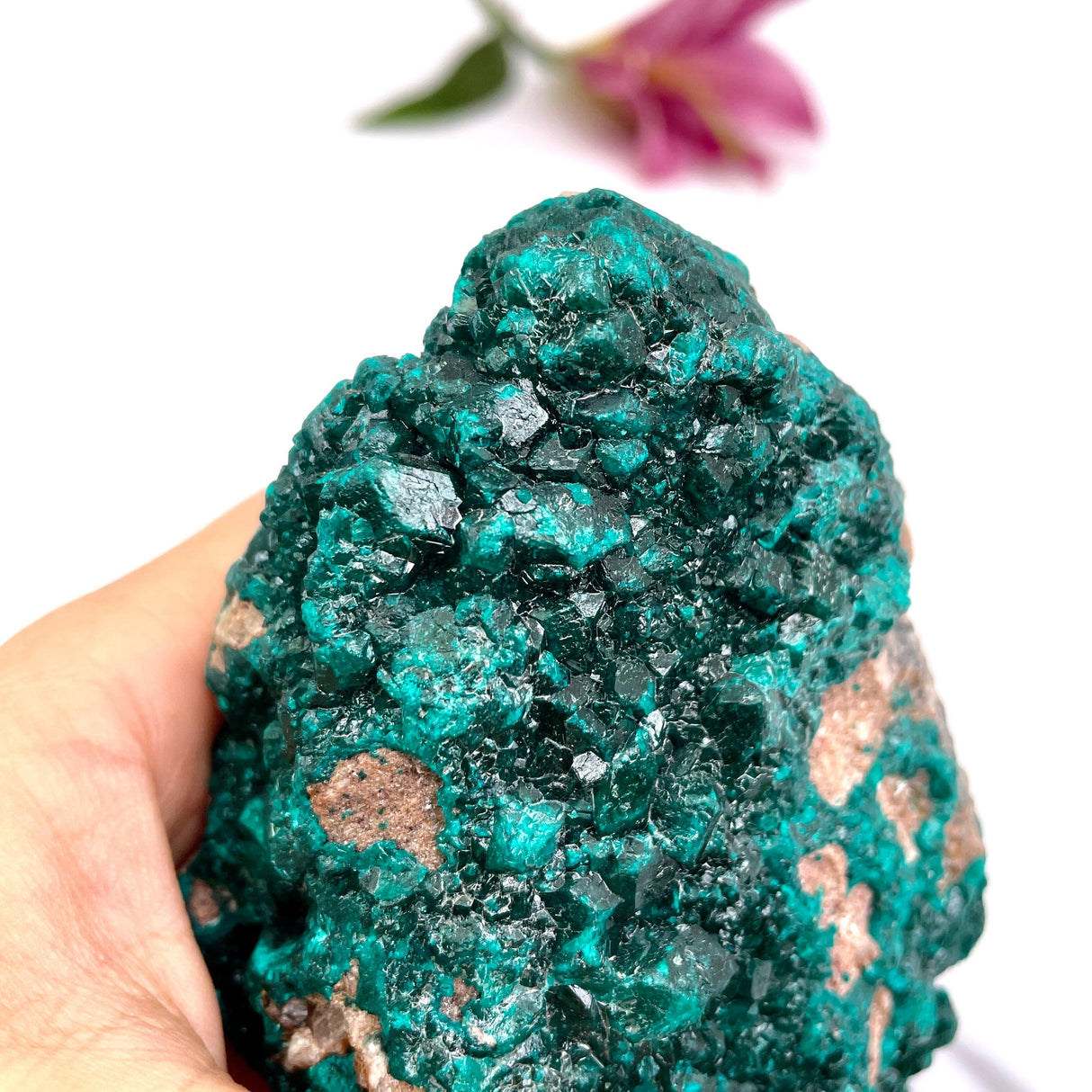 Dioptase specimen CR3187 - Nature's Magick
