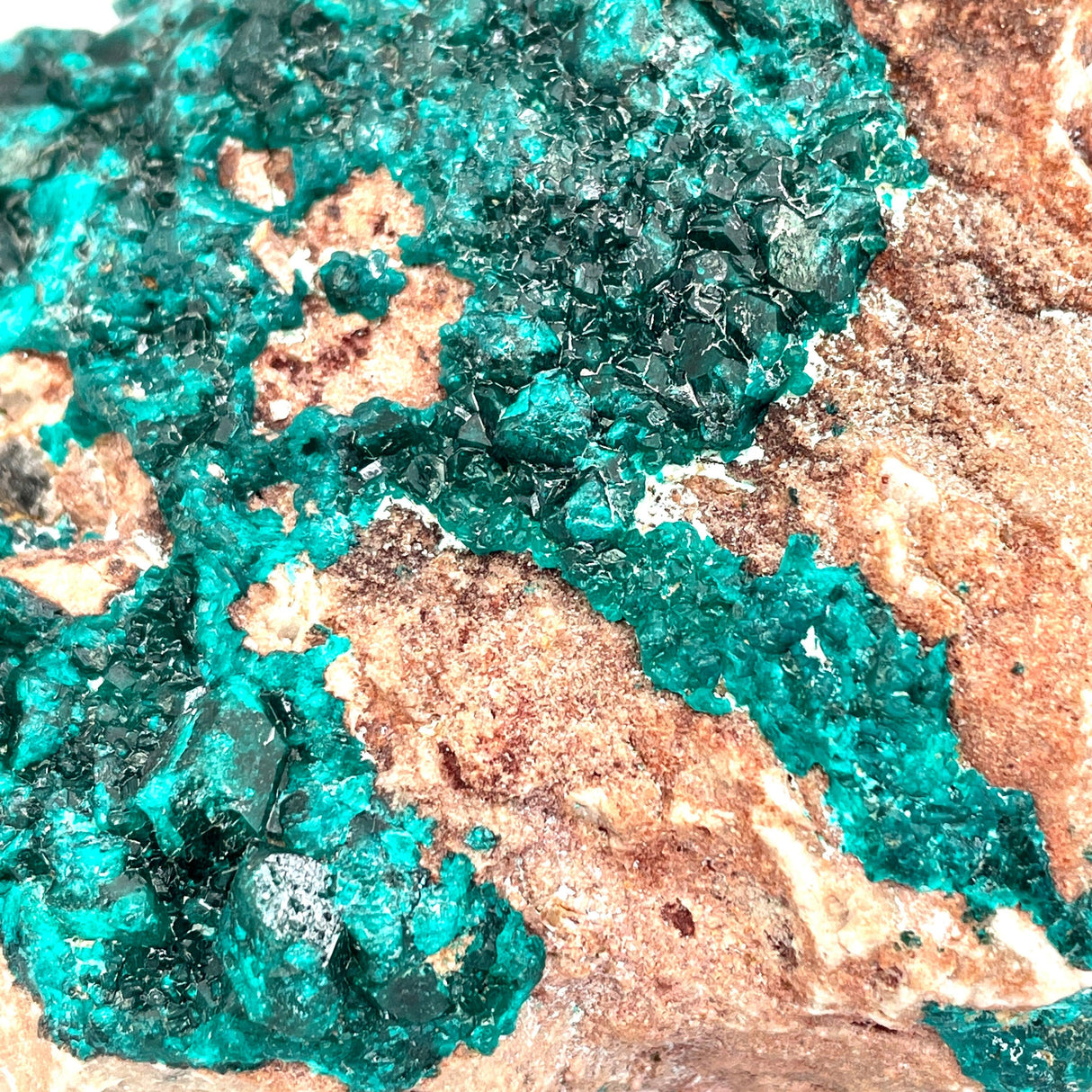 Dioptase specimen CR3187 - Nature's Magick