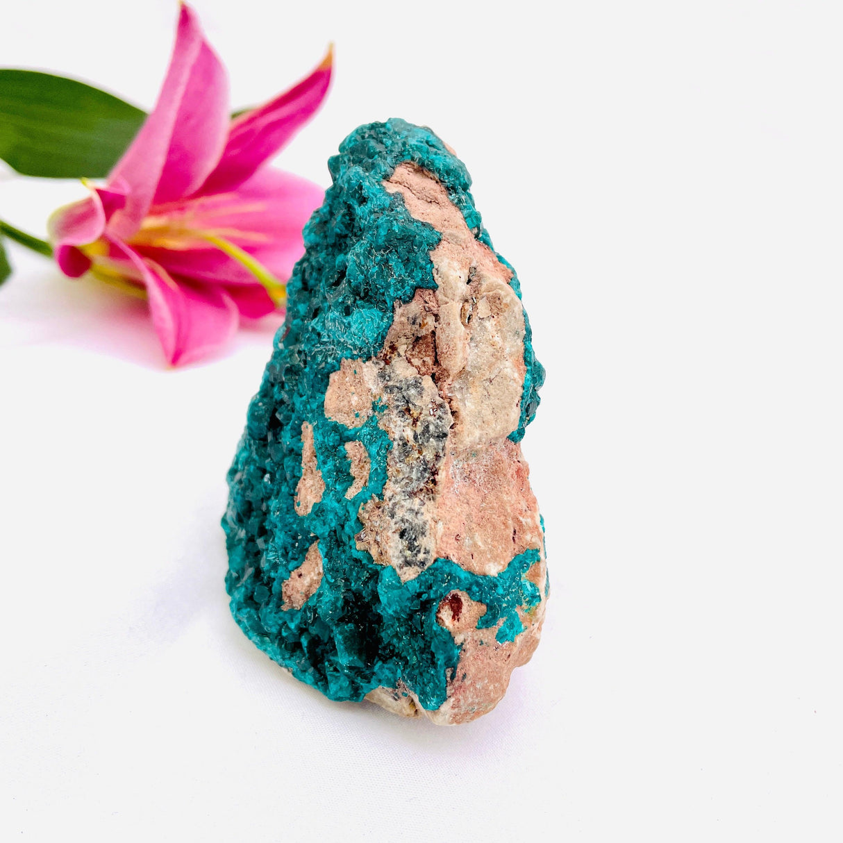 Dioptase specimen CR3187 - Nature's Magick