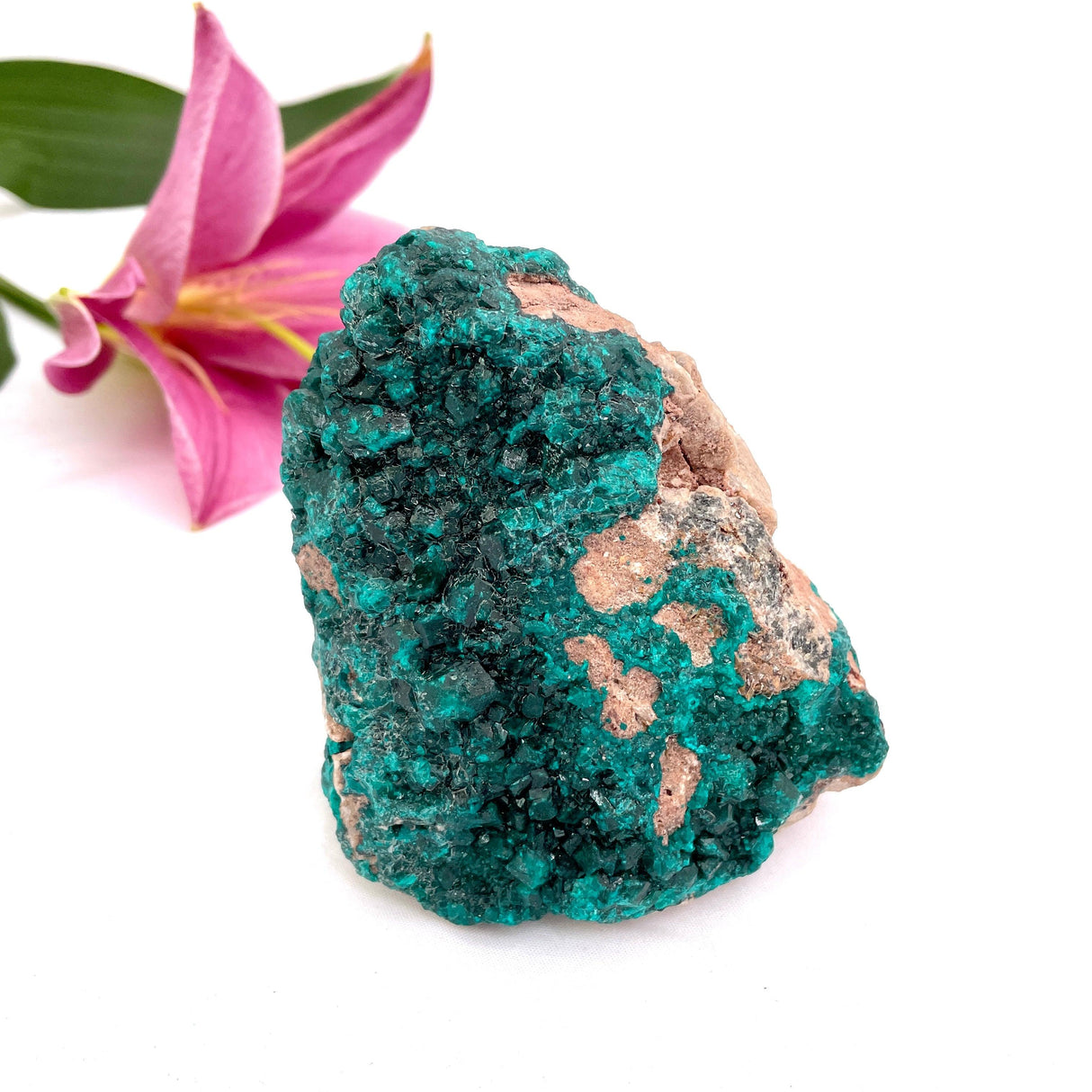 Dioptase specimen CR3187 - Nature's Magick
