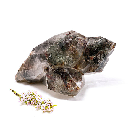 Garden Quartz Display 3.1kg triple polished crystal GCQ01 - Nature's Magick