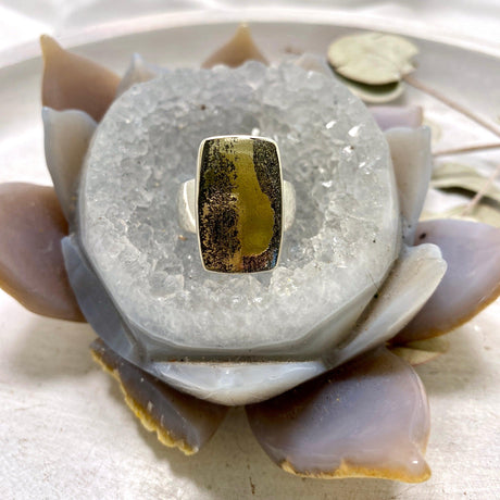 Healer's Gold (Pyrite in Magnetite) rectangle ring s.9 KRGJ2401 - Nature's Magick