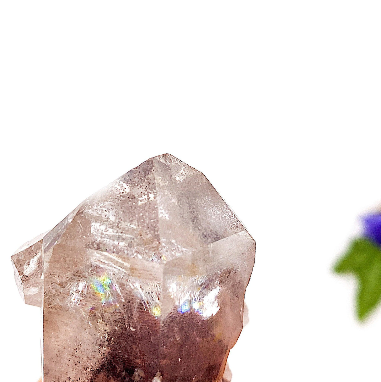 Hematite covered phantoms in quartz crystal HPQ-12 - Nature's Magick