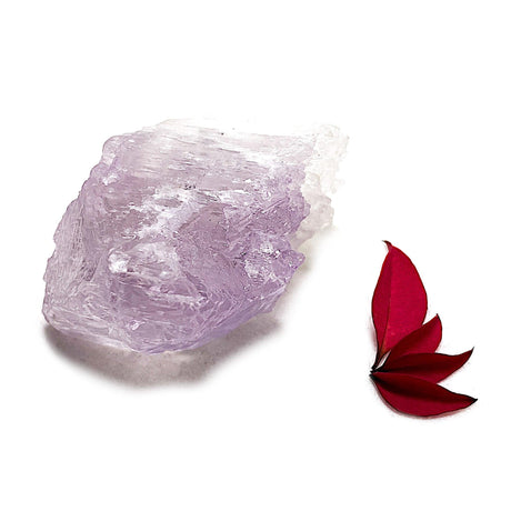Kunzite natural crystal KUN-63 - Nature's Magick