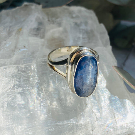 Kyanite oval cabochon ring with split band s.7 KRGJ1579 - Nature's Magick