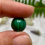Malachite mini spheres MCHTE - Nature's Magick