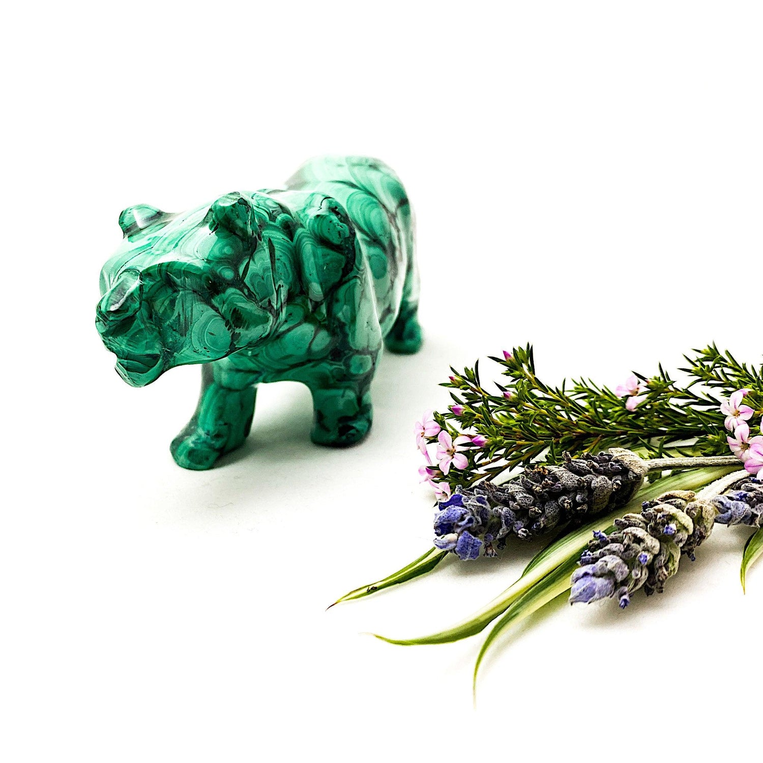 Malachite Tiger Carving MCH-CAR-08 - Nature's Magick