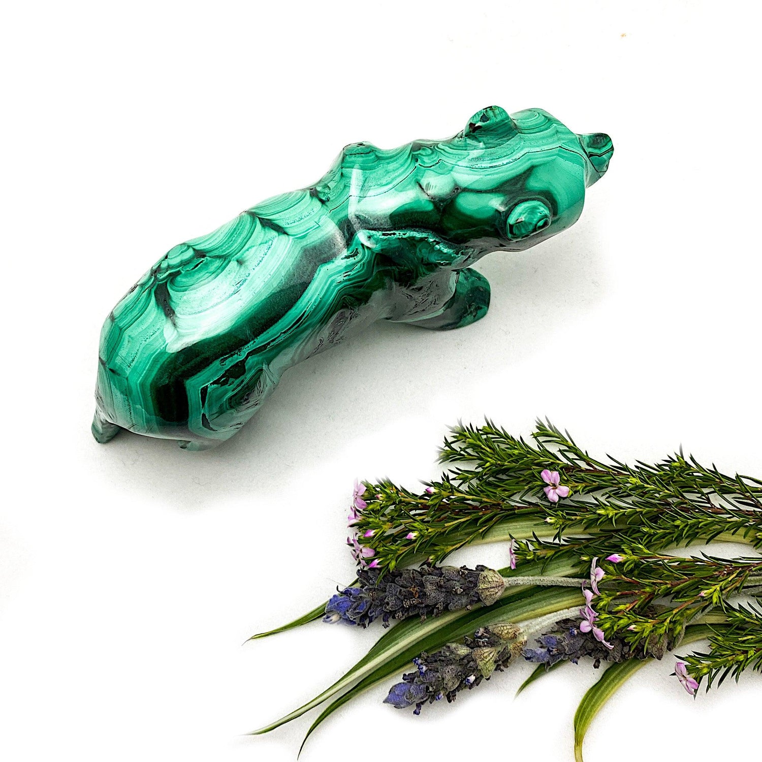 Malachite Tiger Carving MCH-CAR-08 - Nature's Magick