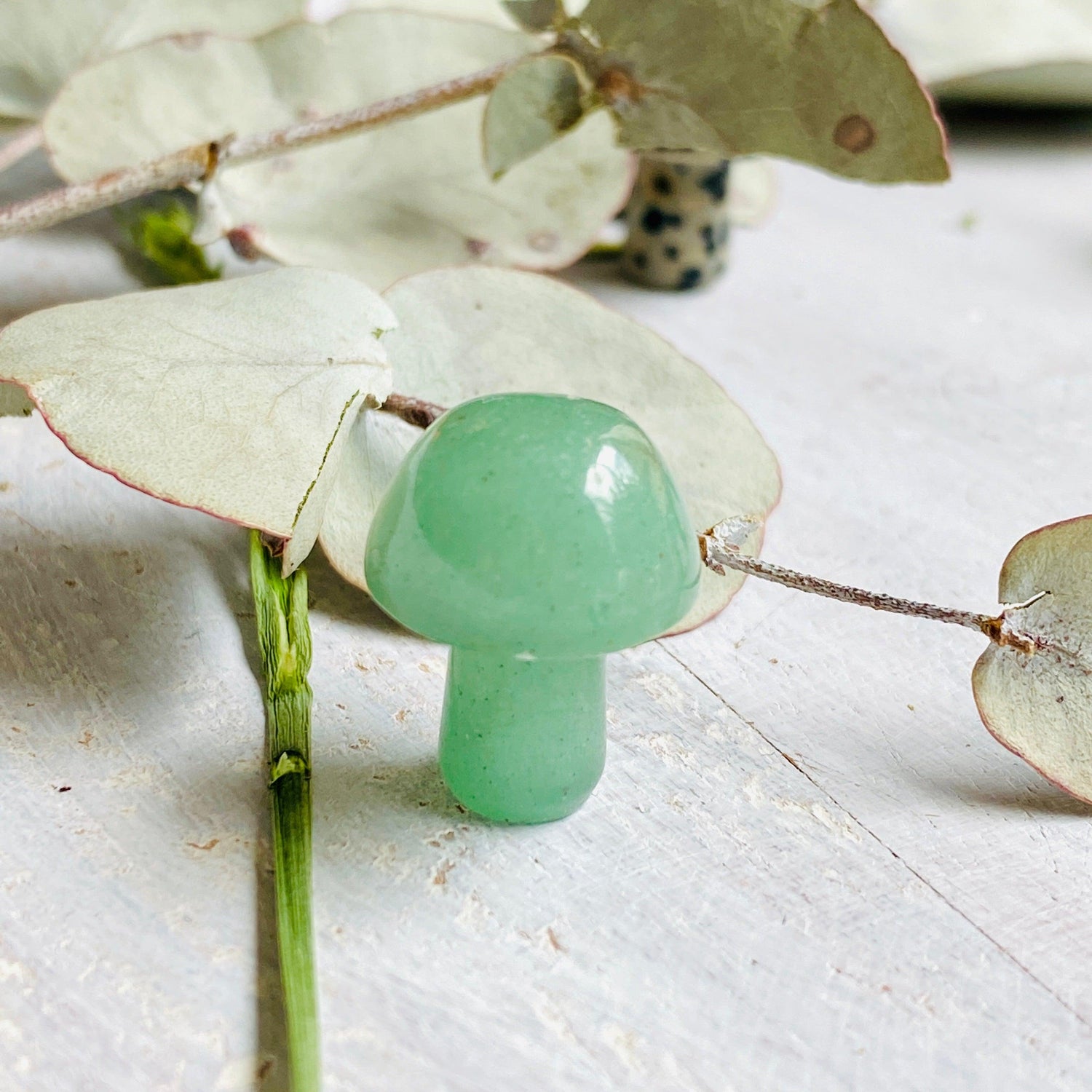 Mini Mushrooms - Assorted Gemstones - Nature's Magick