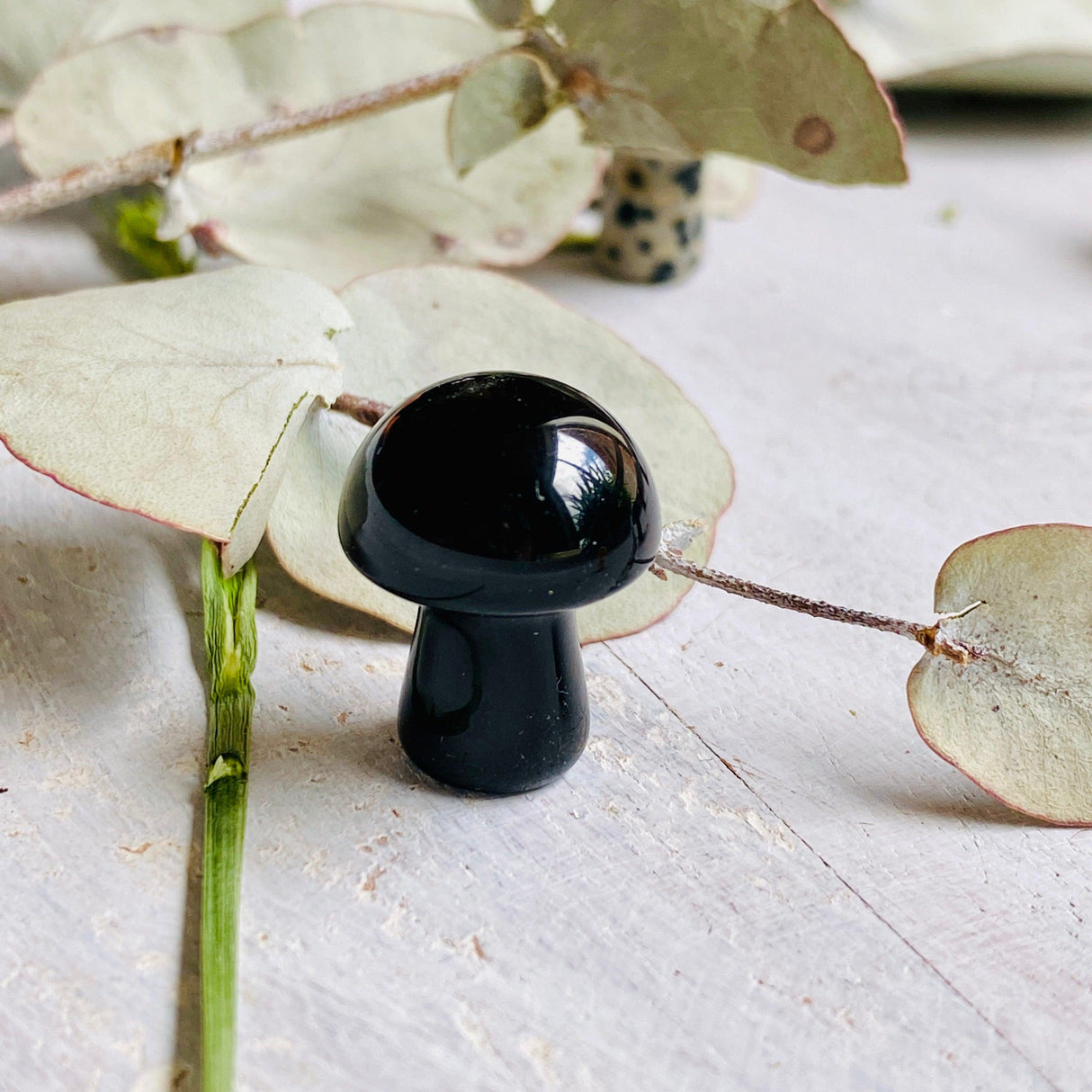 Mini Mushrooms - Assorted Gemstones - Nature's Magick