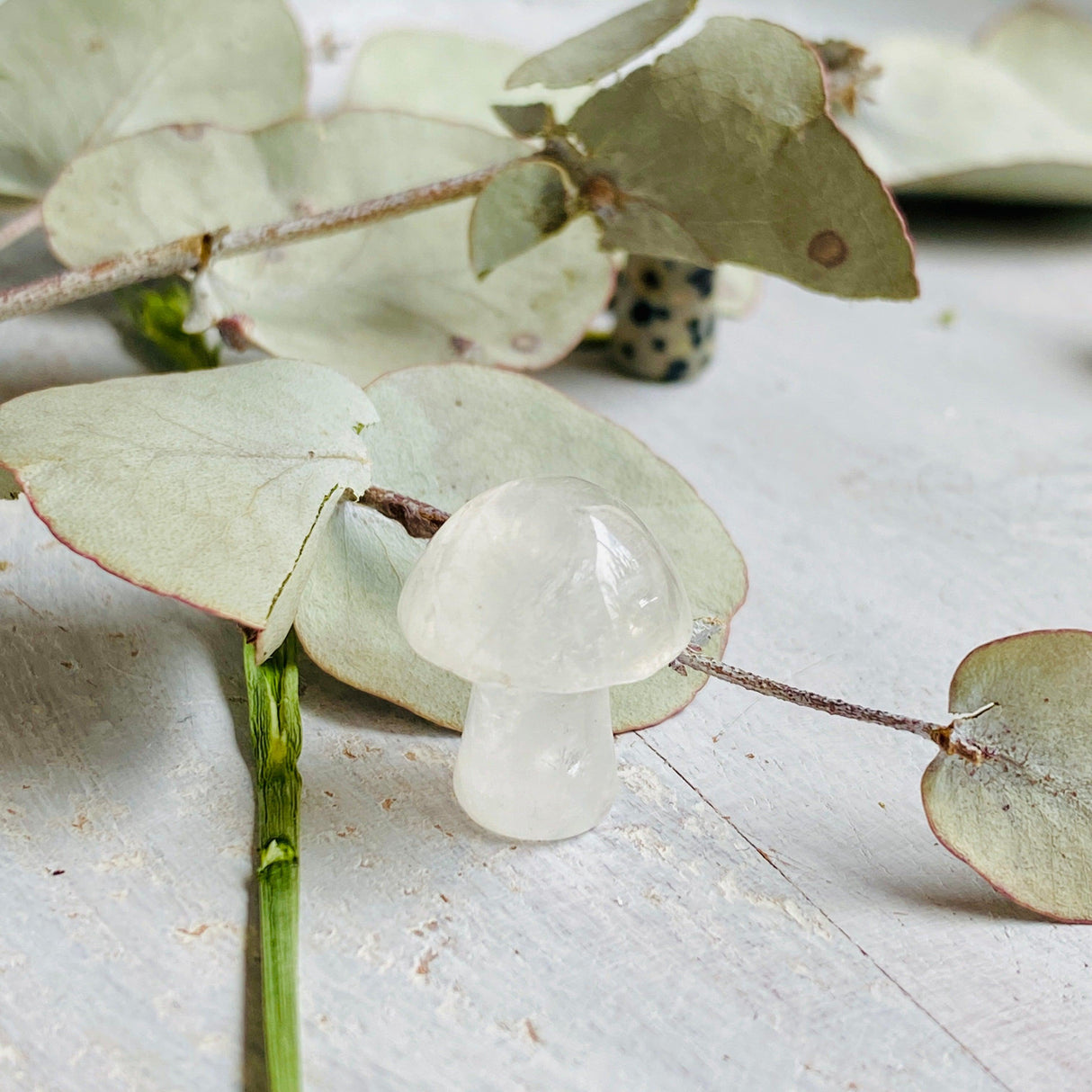 Mini Mushrooms - Assorted Gemstones - Nature's Magick