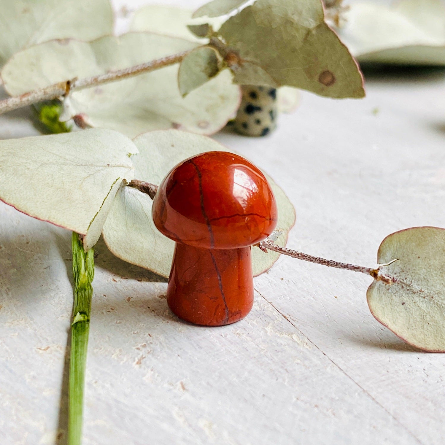 Mini Mushrooms - Assorted Gemstones - Nature's Magick