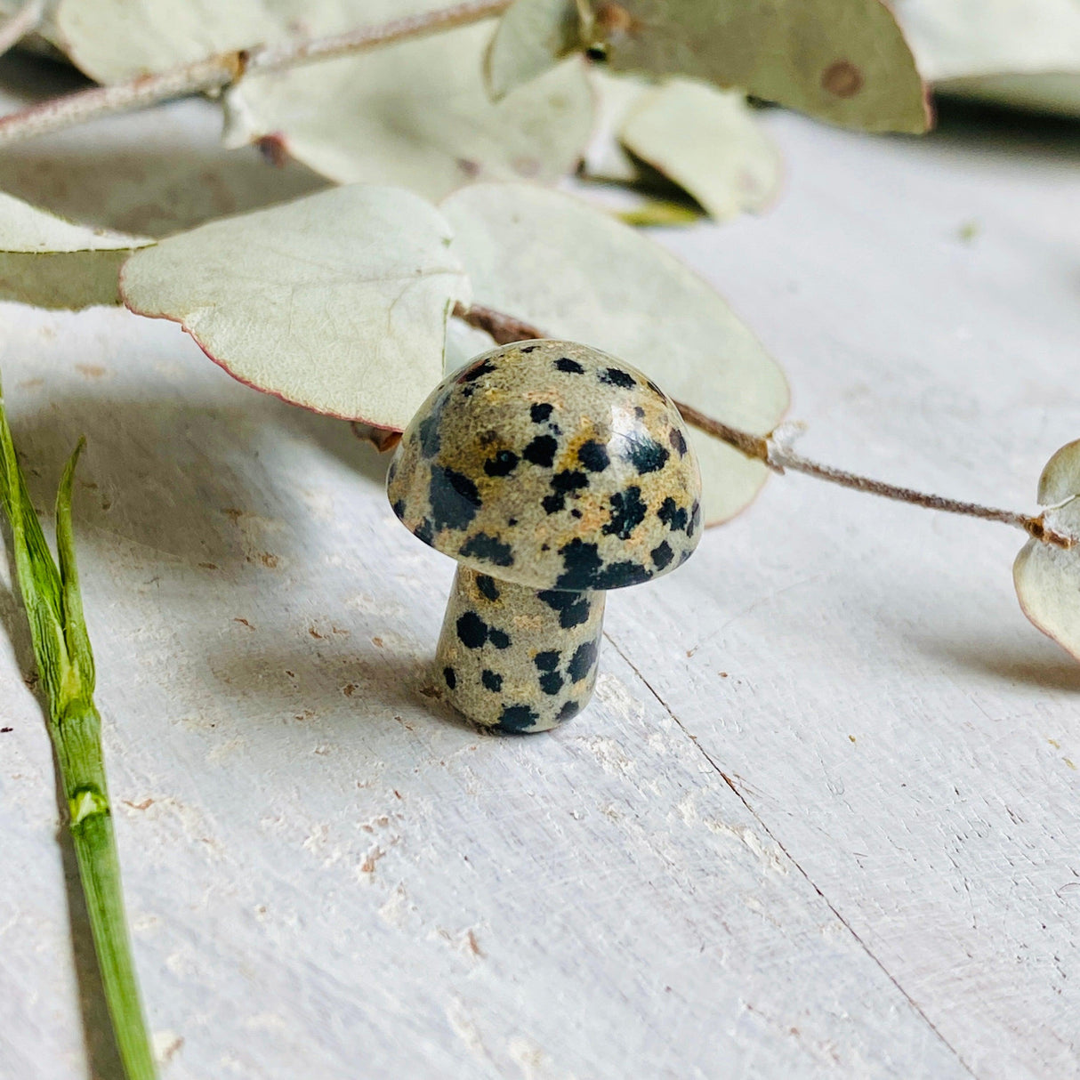 Mini Mushrooms - Assorted Gemstones - Nature's Magick