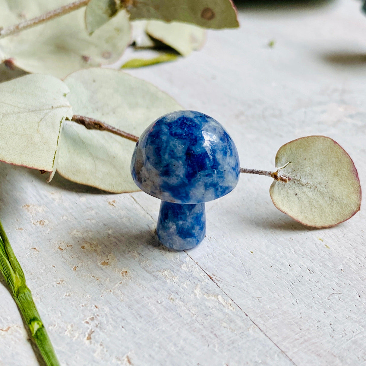 Mini Mushrooms - Assorted Gemstones - Nature's Magick