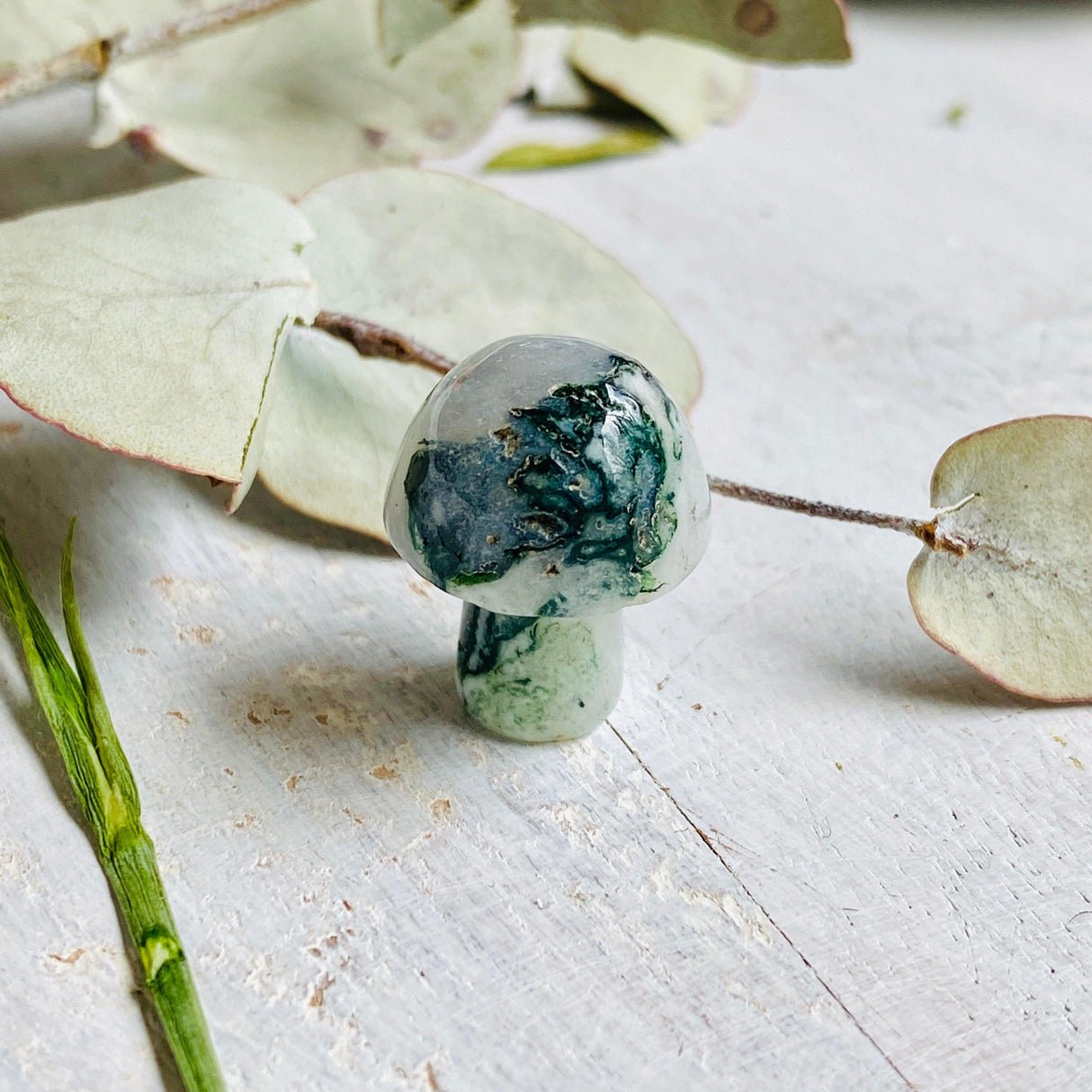 Mini Mushrooms - Assorted Gemstones - Nature's Magick