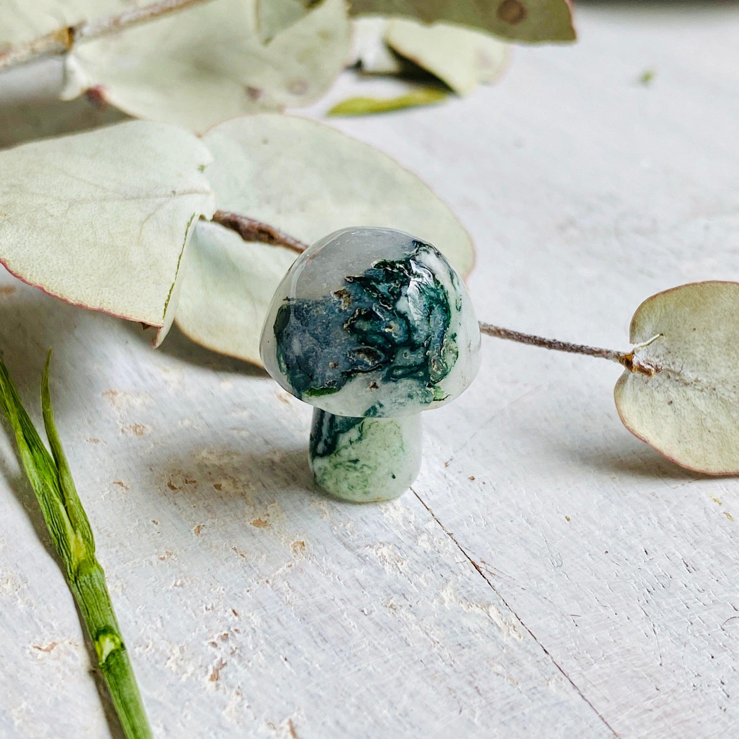 Mini Mushrooms - Assorted Gemstones - Nature's Magick