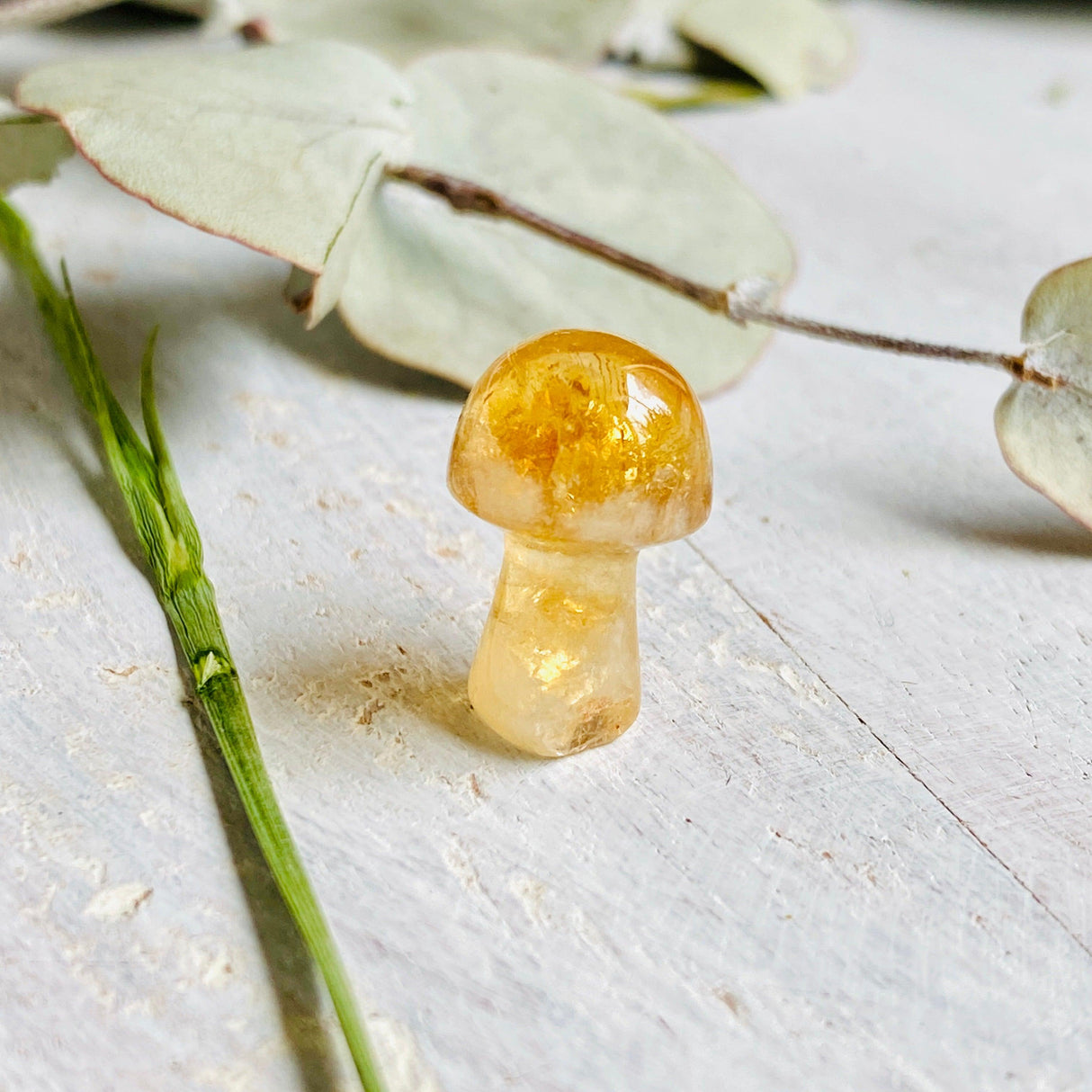 Mini Mushrooms - Assorted Gemstones - Nature's Magick