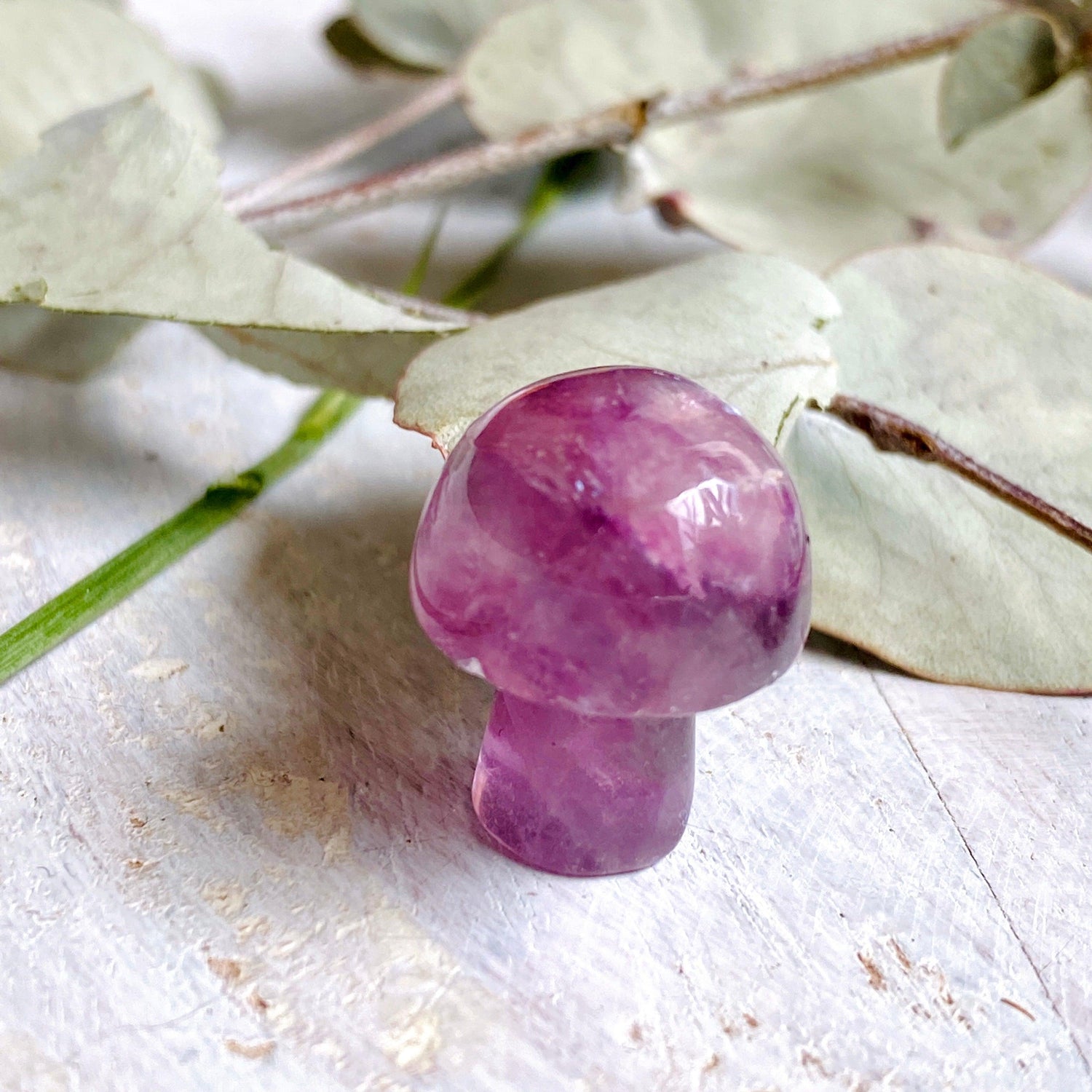 Mini Mushrooms - Assorted Gemstones - Nature's Magick