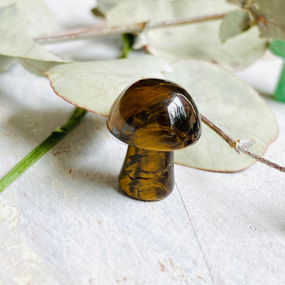 Mini Mushrooms - Assorted Gemstones - Nature's Magick