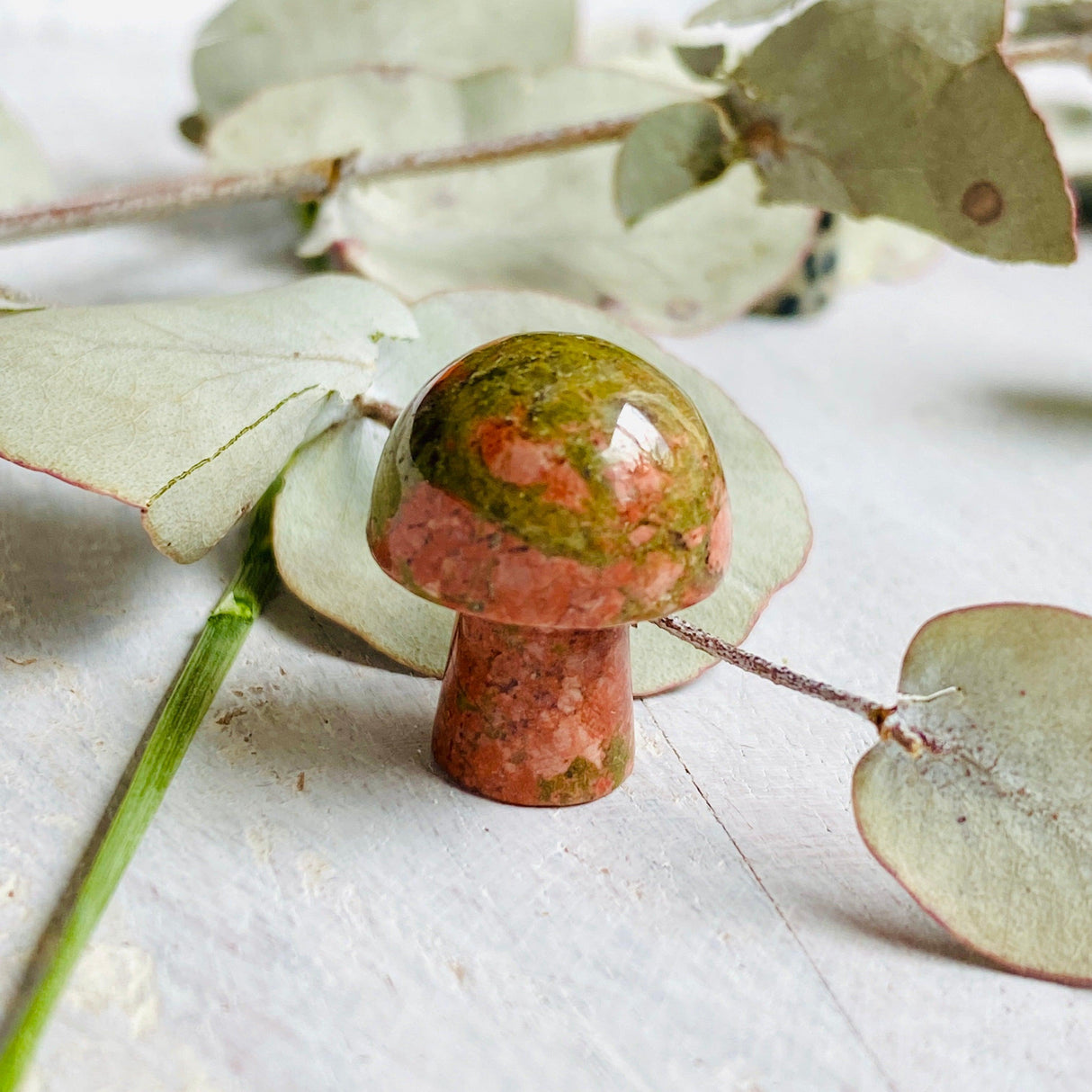 Mini Mushrooms - Assorted Gemstones - Nature's Magick