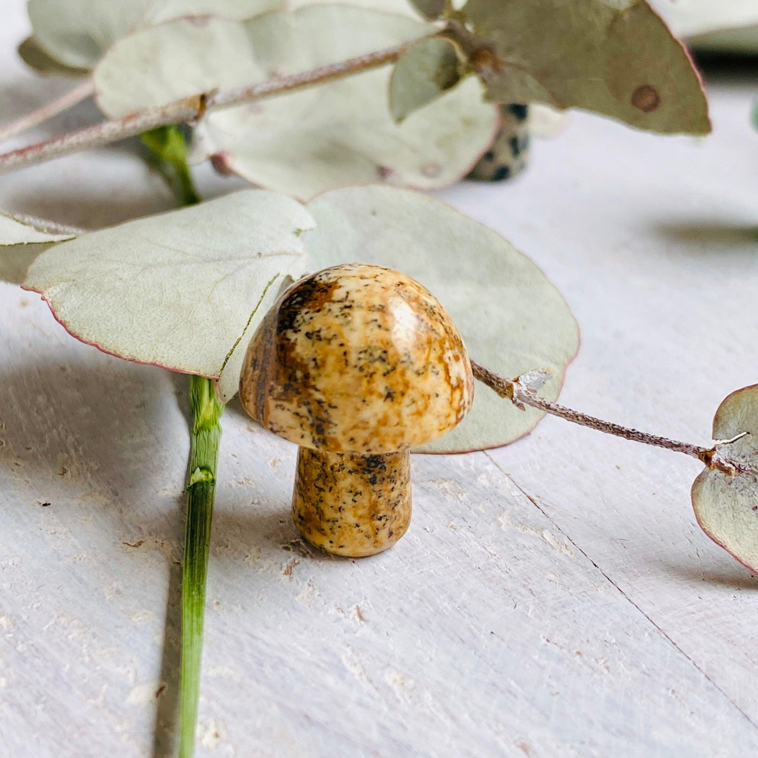 Mini Mushrooms - Assorted Gemstones - Nature's Magick