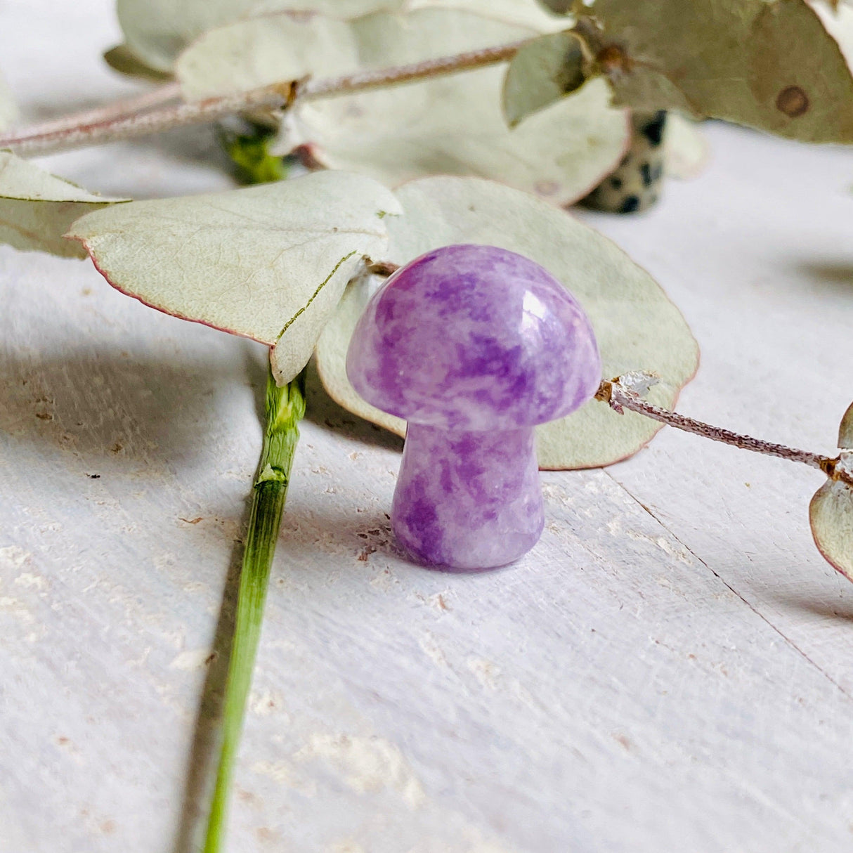 Mini Mushrooms - Assorted Gemstones - Nature's Magick