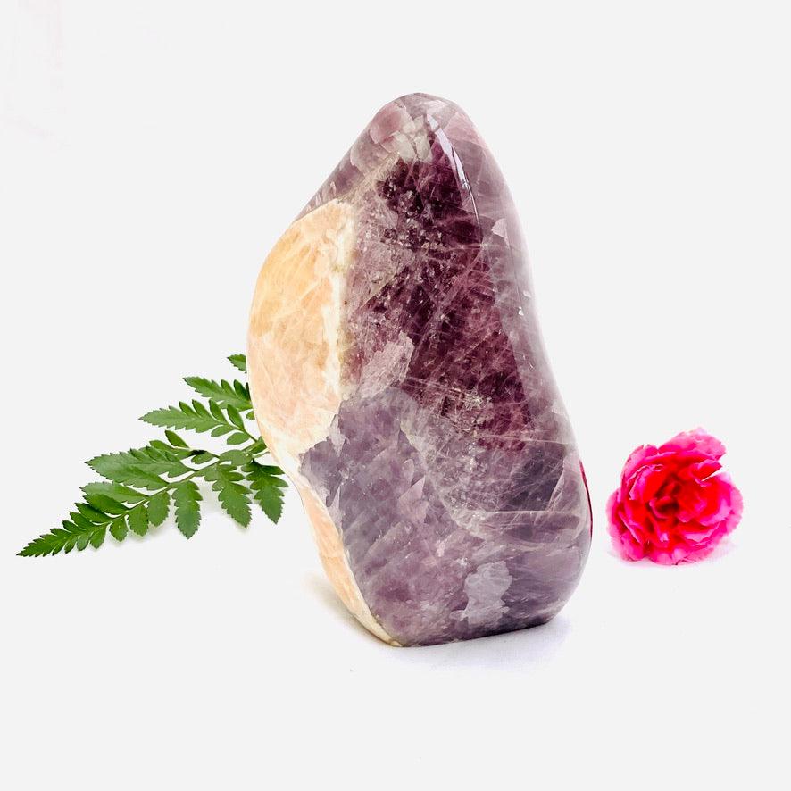 Purple Anhydrite (Angelite) freeform CR3183 - Nature's Magick