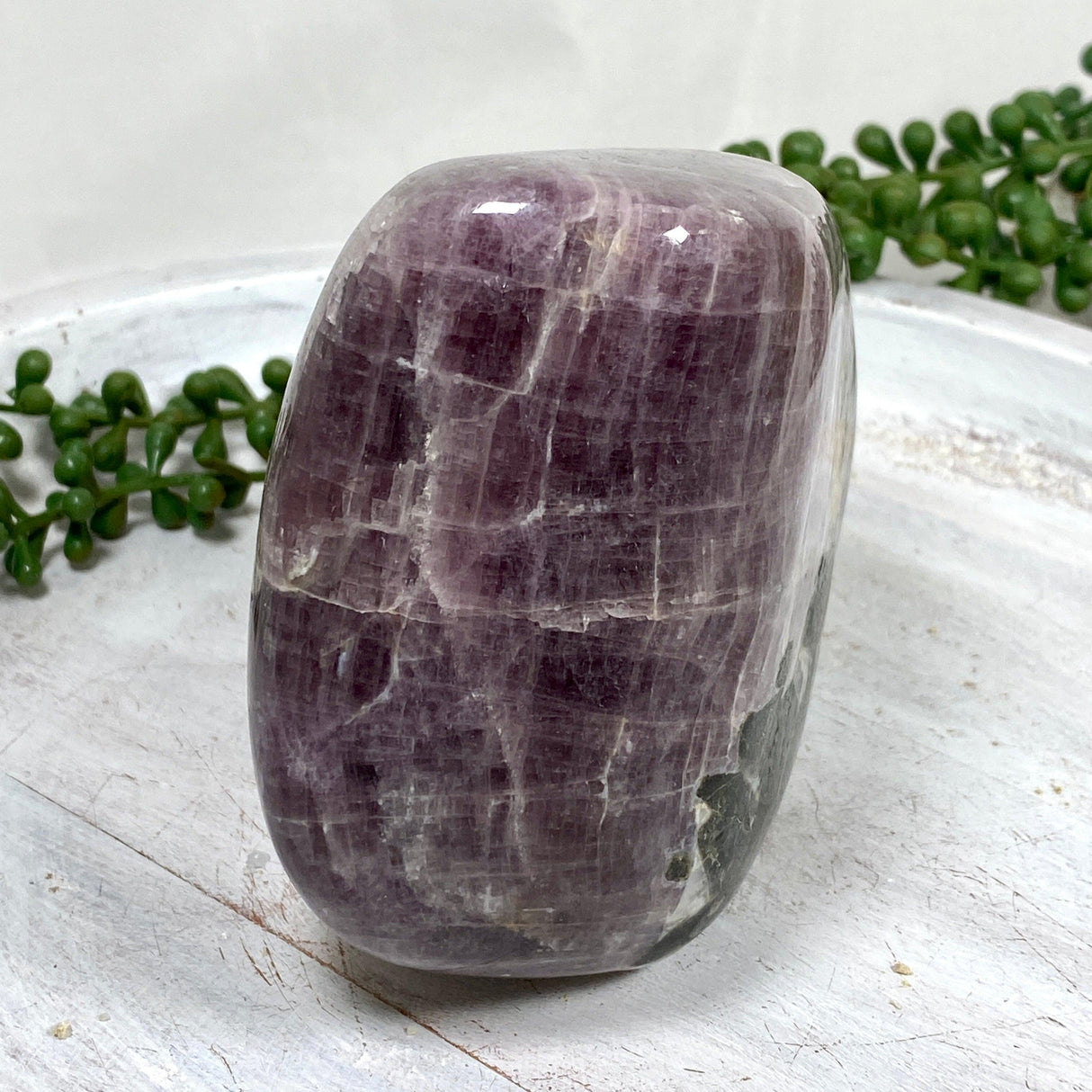 Purple Anhydrite (Angelite) freeform CR3487 - Nature's Magick