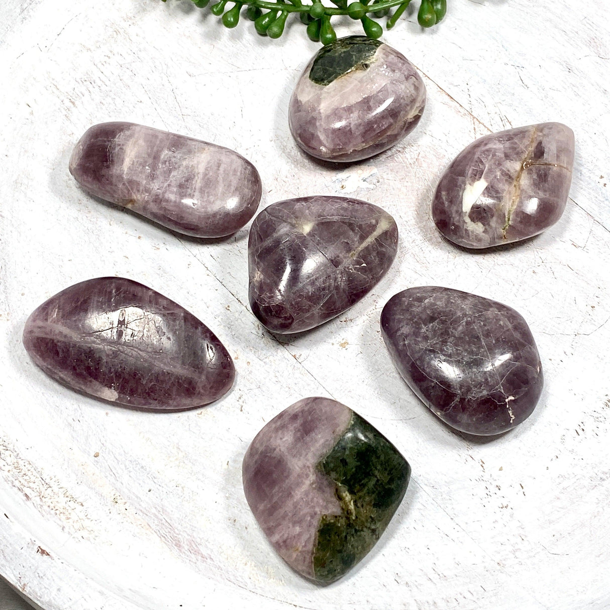 Purple Anhydrite / Angelite Tumble Stone 40-60g CR3418 - Nature's Magick