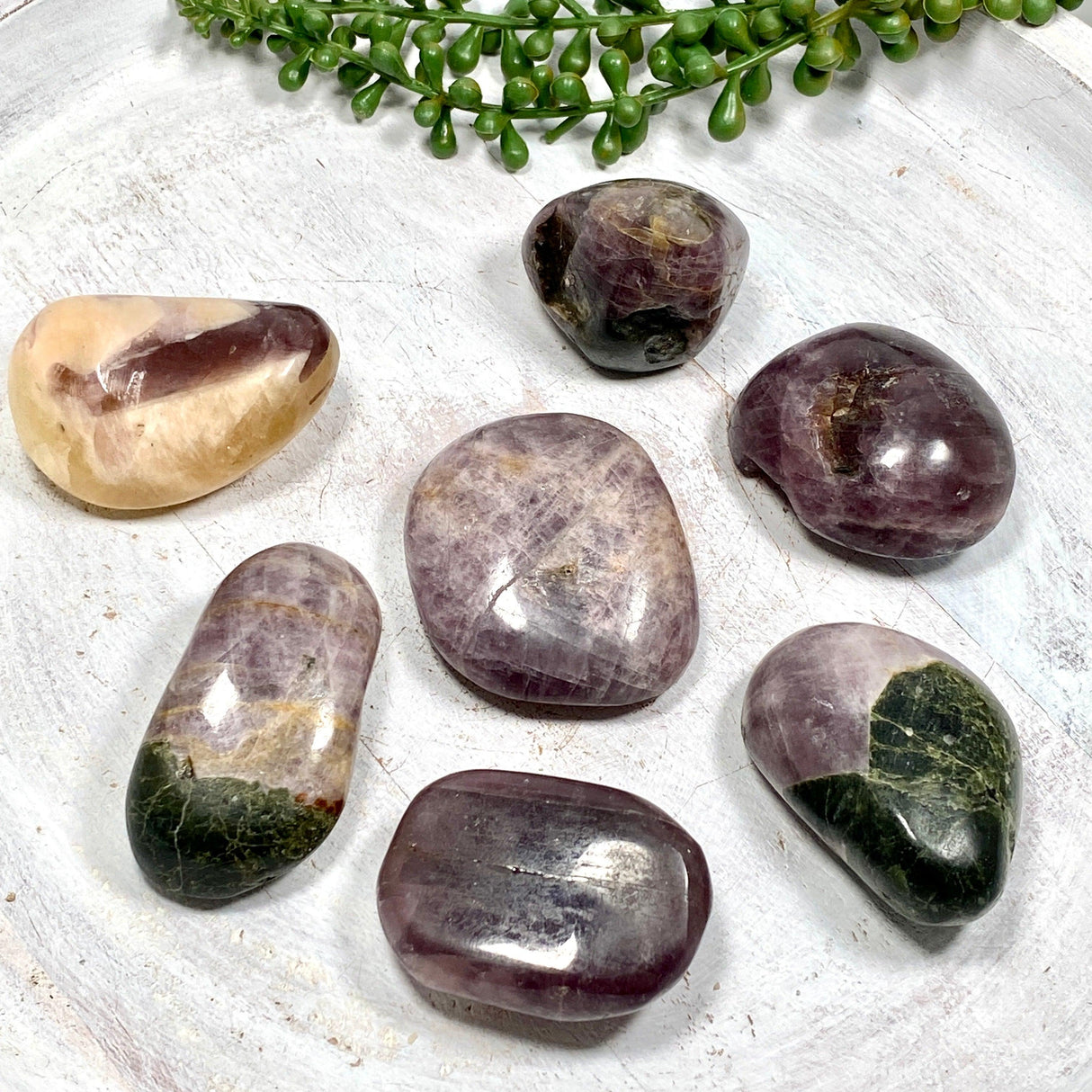Purple Anhydrite / Angelite Tumble Stone 60-80g CR3419 - Nature's Magick