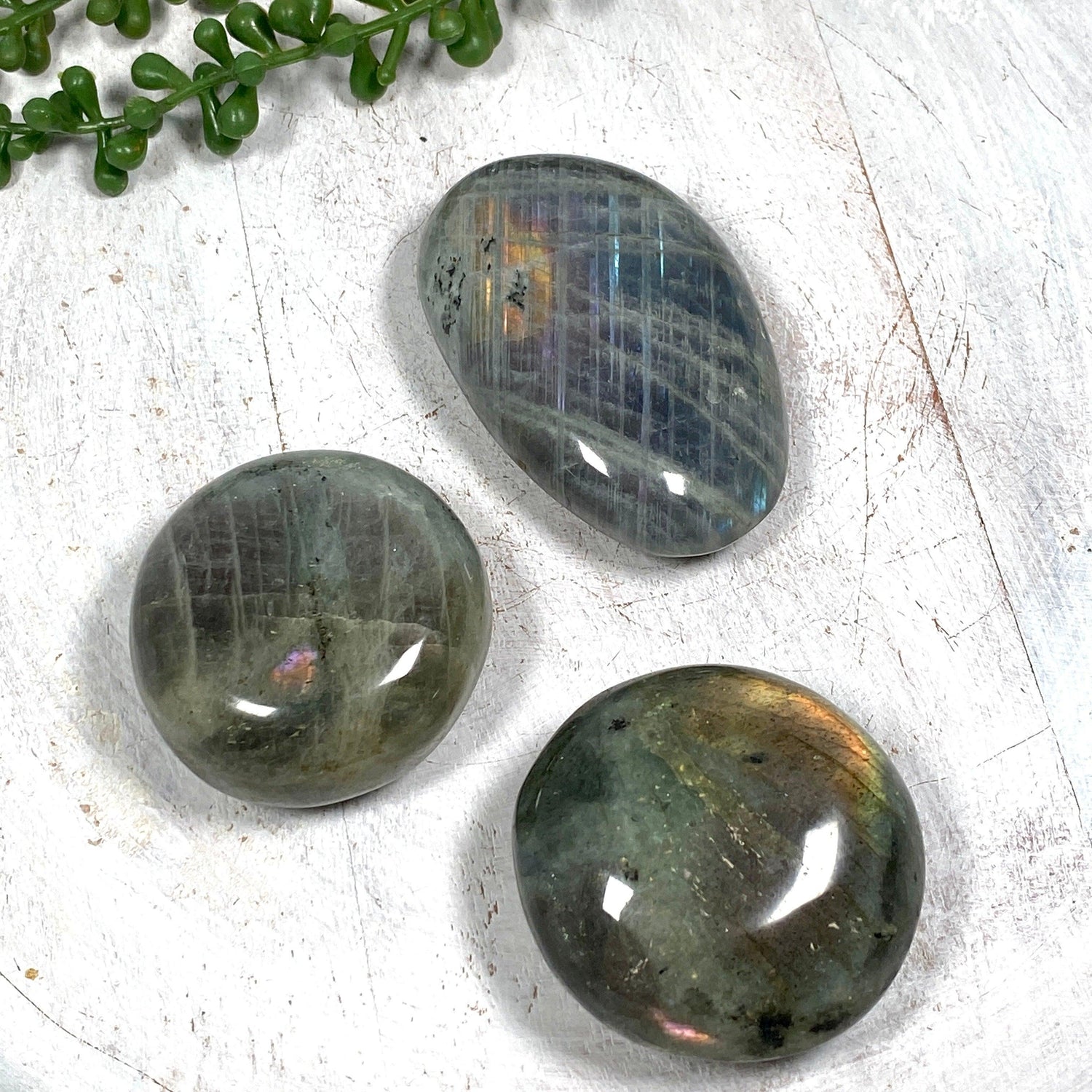 Purple labradorite palmstone PLBP - Nature's Magick