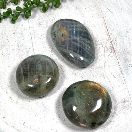 Purple labradorite palmstone PLBP - Nature's Magick