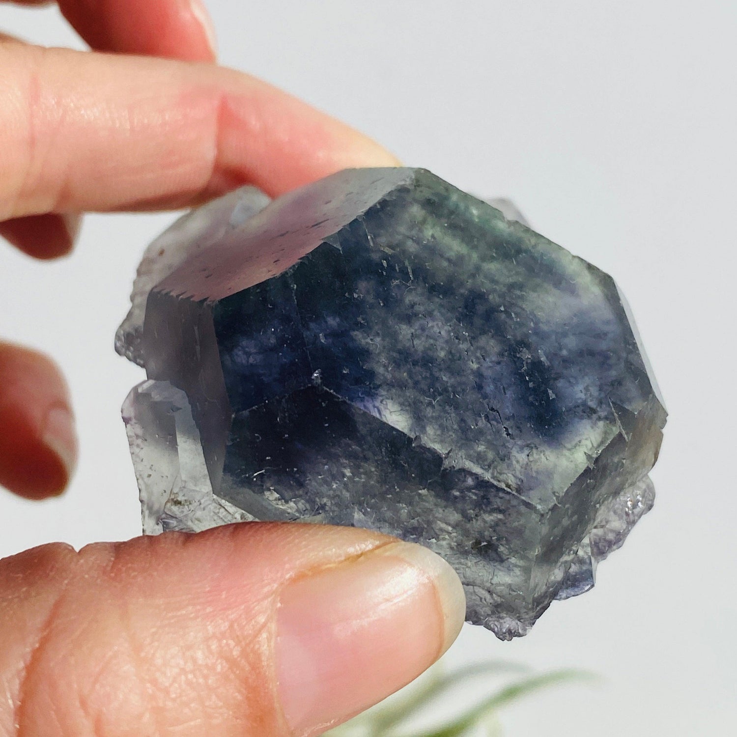 Rainbow Fluorite cluster FLU-05 - Nature's Magick