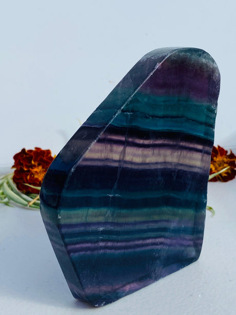 Rainbow Fluorite polished freeform slab C1444d - Nature's Magick