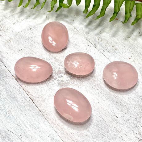 Rose quartz Palmstone RQP - Nature's Magick