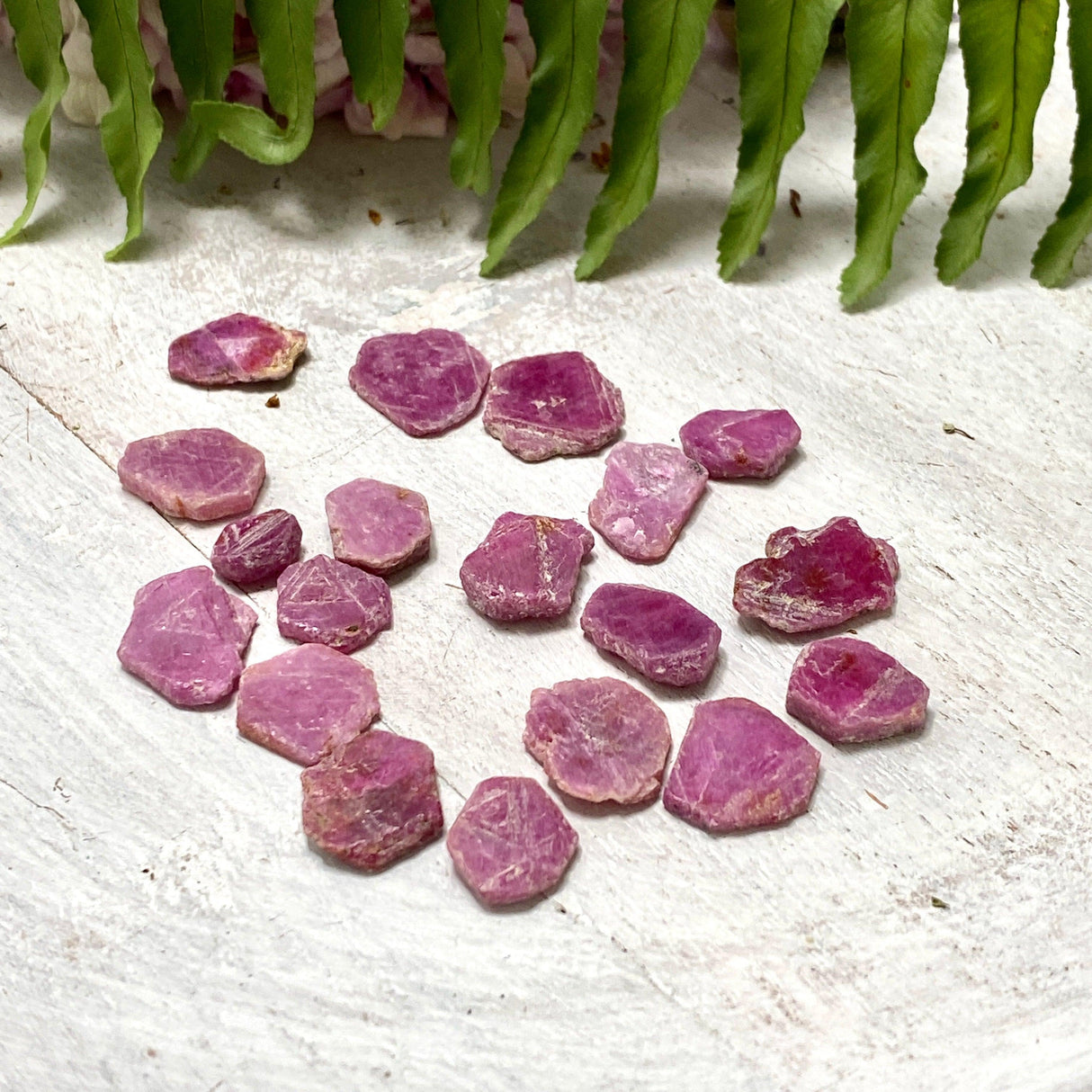 Ruby (Corundum) Raw Natural Crystal - Nature's Magick