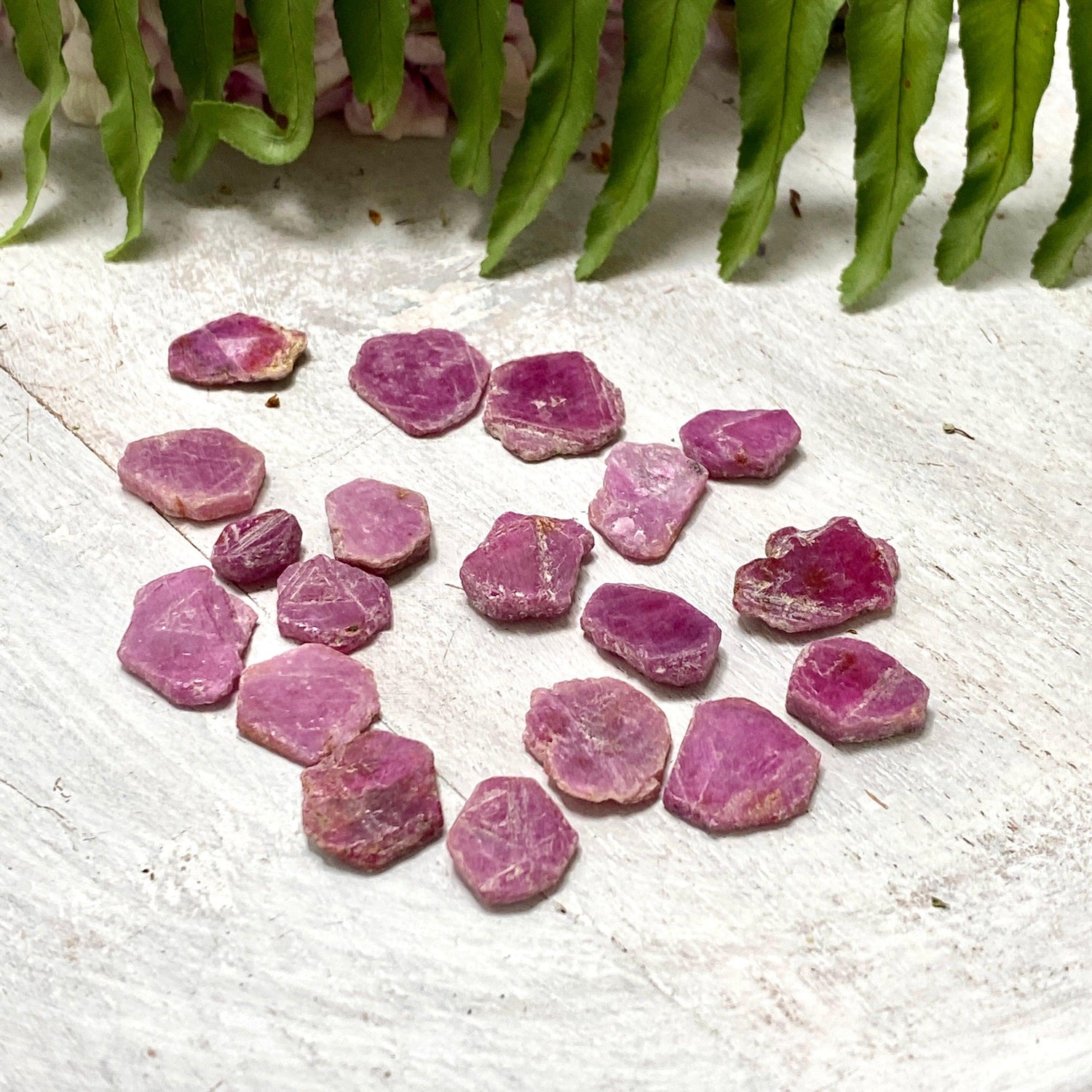 Ruby (Corundum) Raw Natural Crystal - Nature's Magick