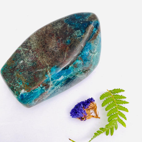Shattuckite Free Forms CR3258 - Nature's Magick
