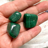 Tumbled Stone - Malachite A grade quality - Nature's Magick